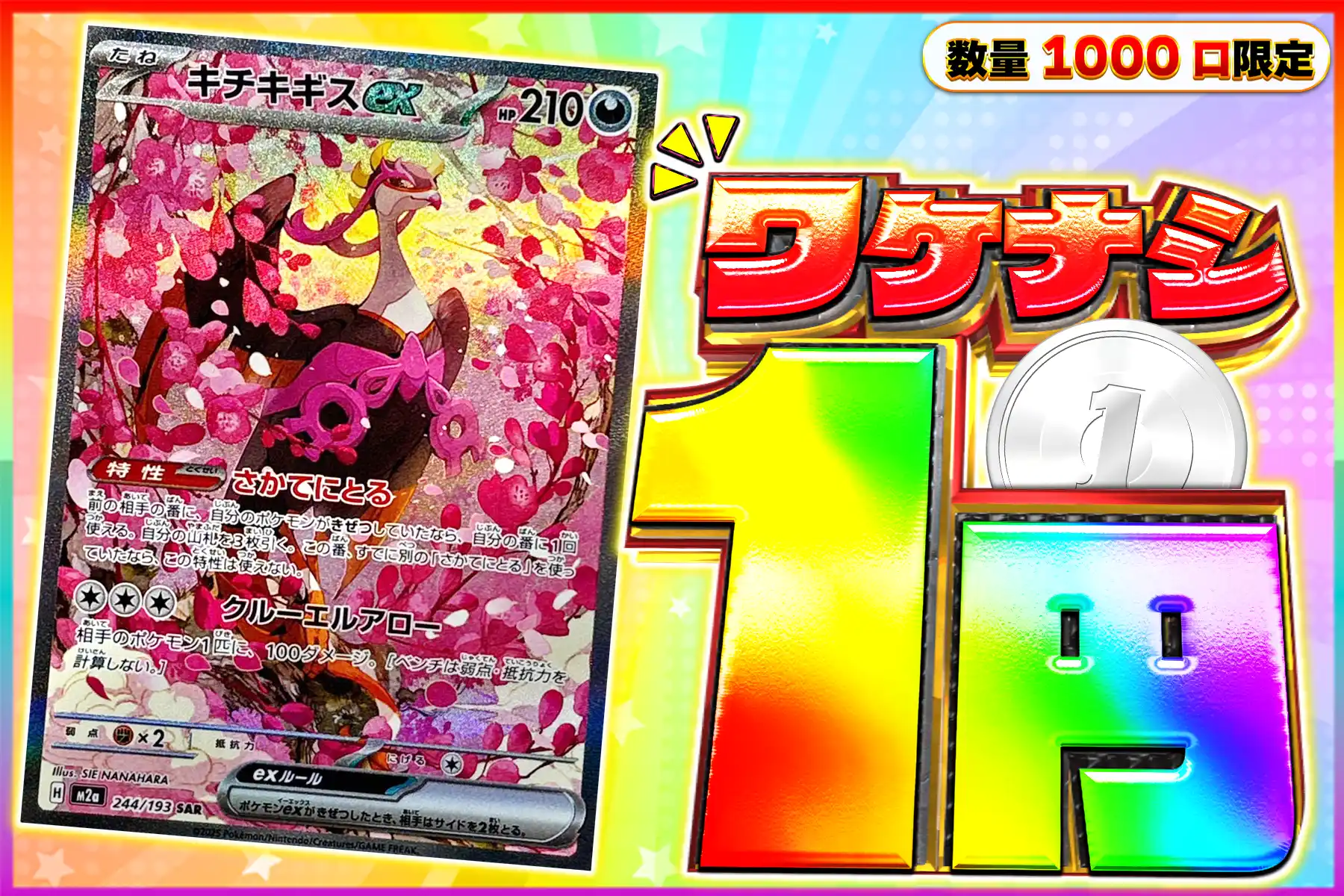 ワケなし キチキギスex