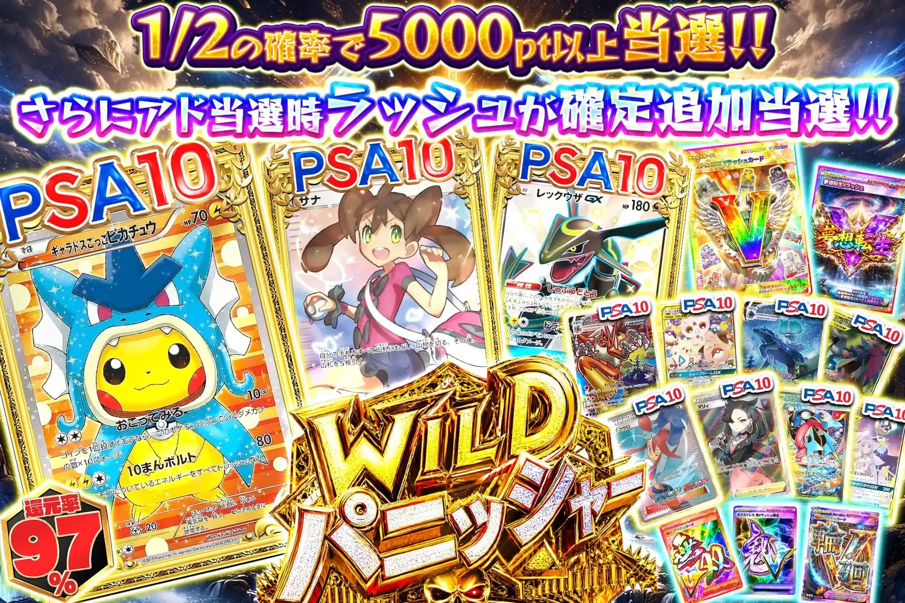 ワイルドパニッシャー