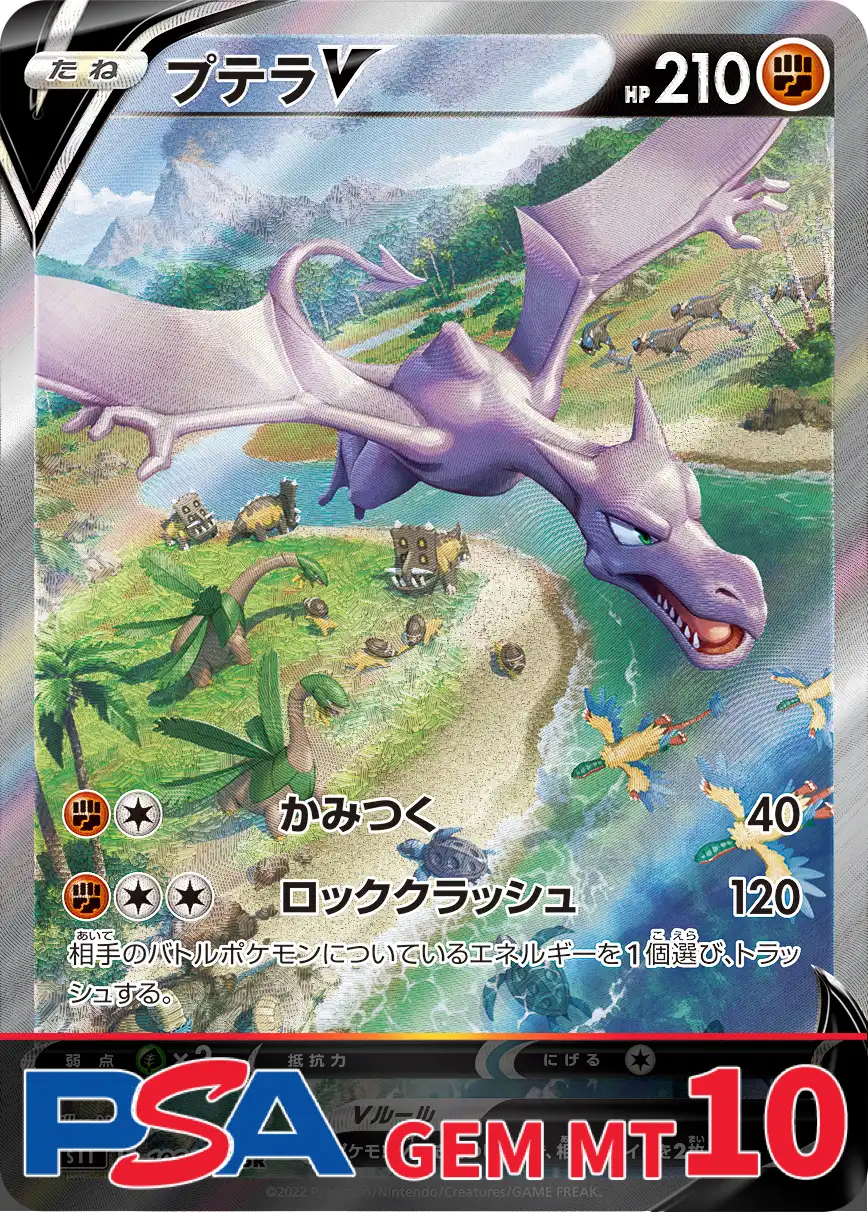 プテラV PSA10