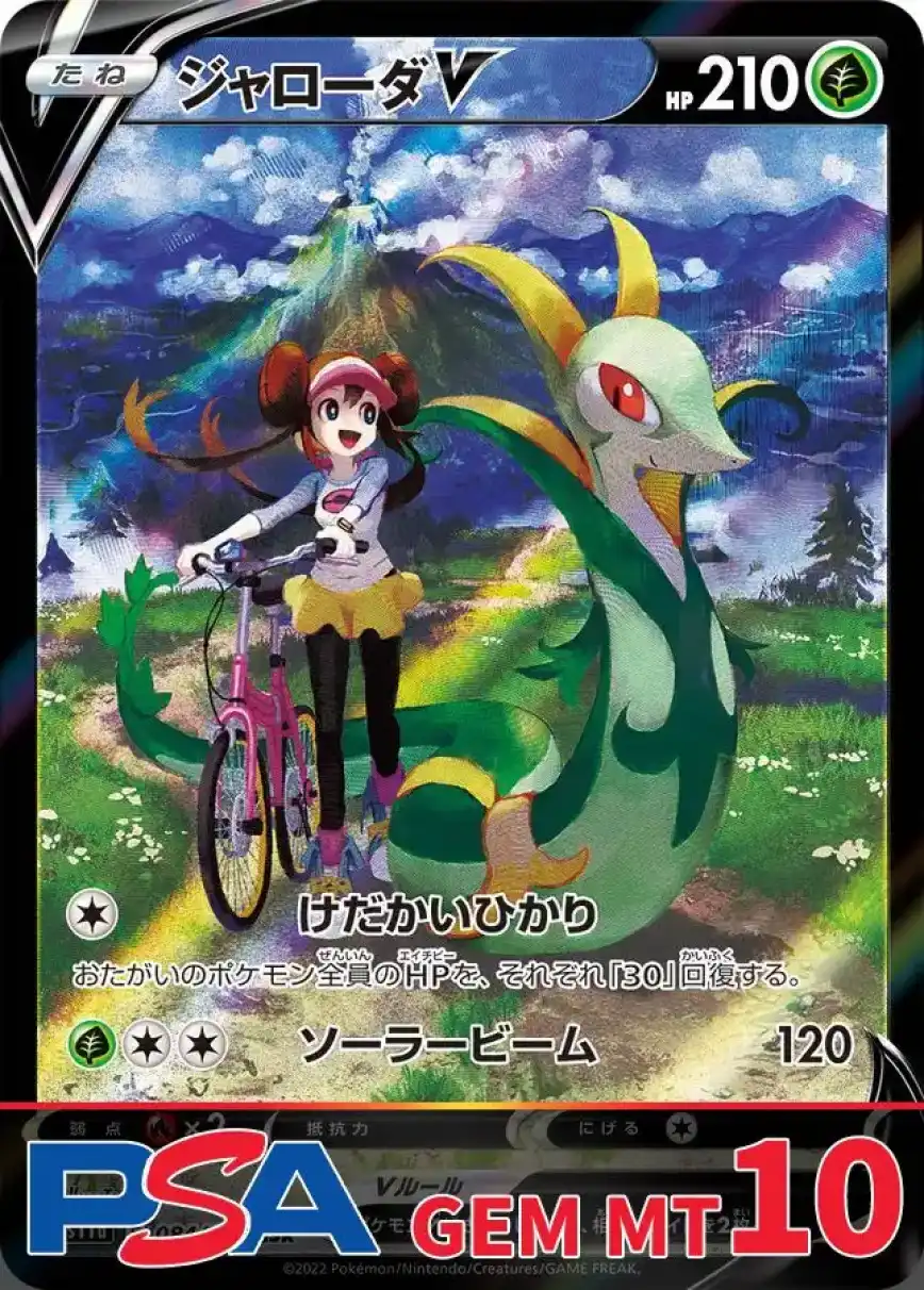 ジャローダV PSA10