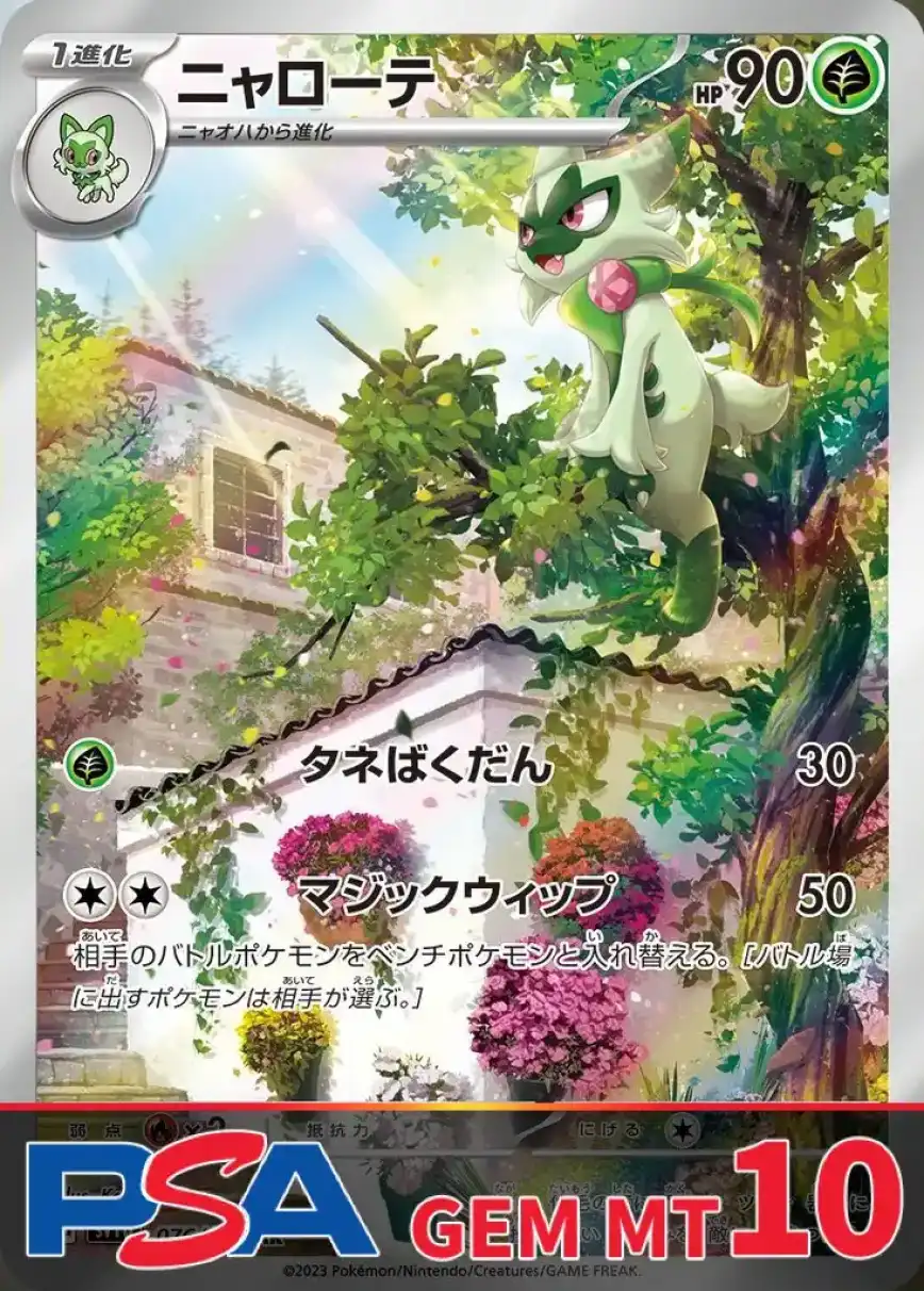 ニャローテ PSA10
