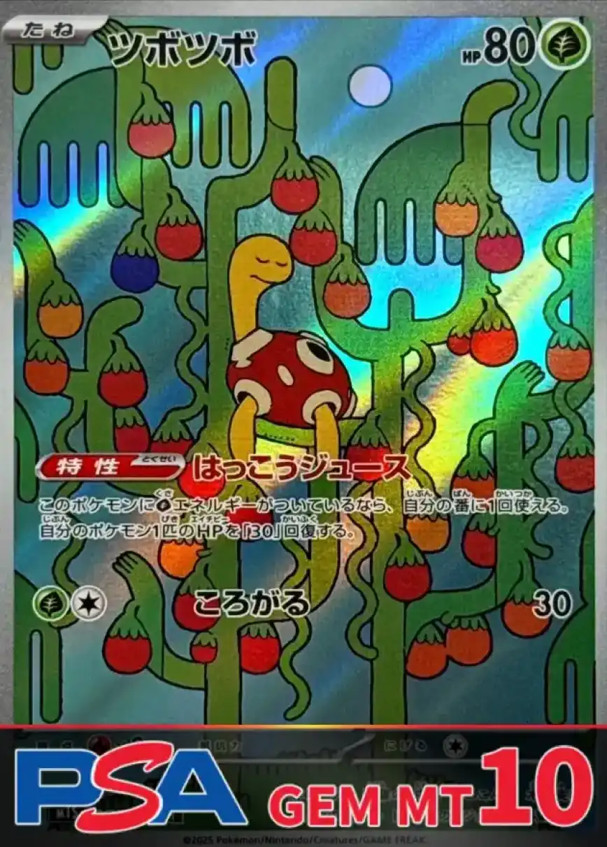 エクストレカオリパ公式サイト