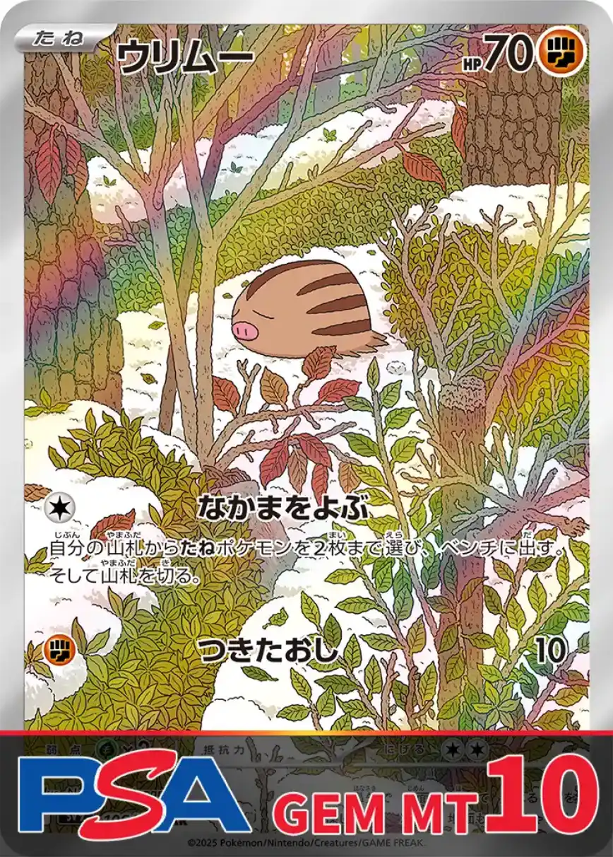 エクストレカオリパ公式サイト