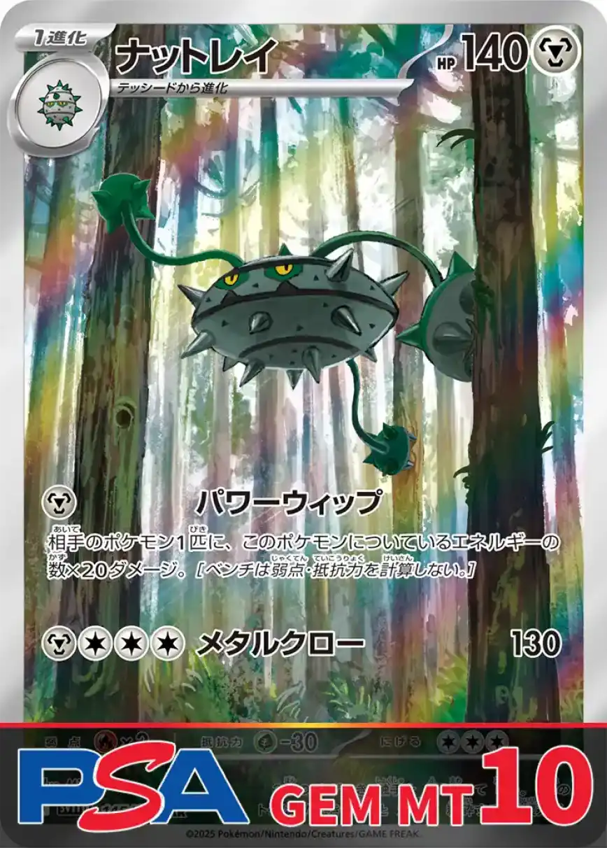 エクストレカオリパ公式サイト