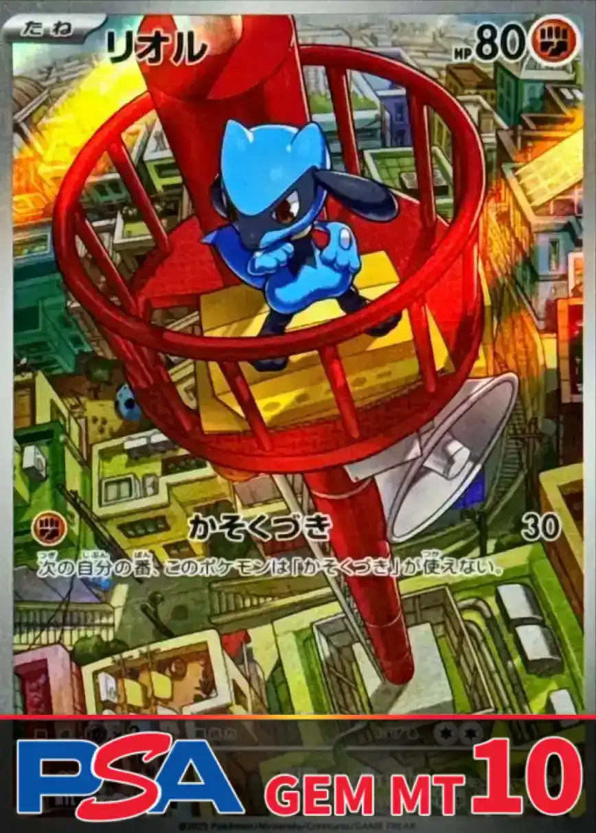 リオル PSA10